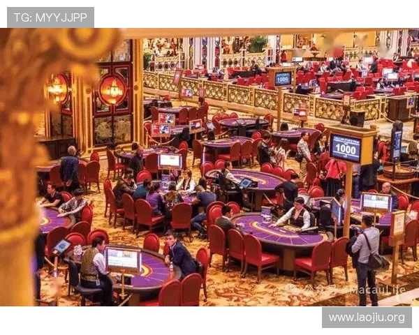 如何在美高梅赌场中合理管理资金避免盲目投注实现稳健盈利目标